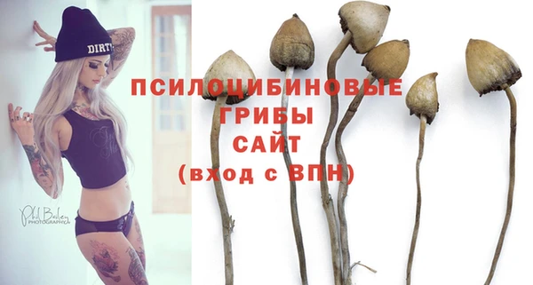 сатива Аркадак