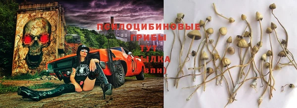 не бодяженный Алексин